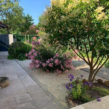 Petite Maison Pres Du Centre LʼIsle-sur-la-Sorgue Eksteriør bilde
