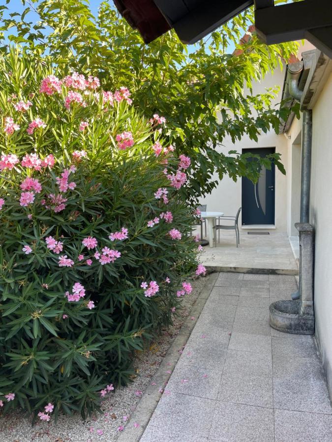 Petite Maison Pres Du Centre LʼIsle-sur-la-Sorgue Eksteriør bilde